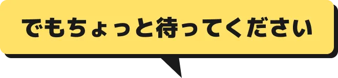「でもちょっと待ってください」